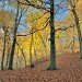 Hebden 311009_17